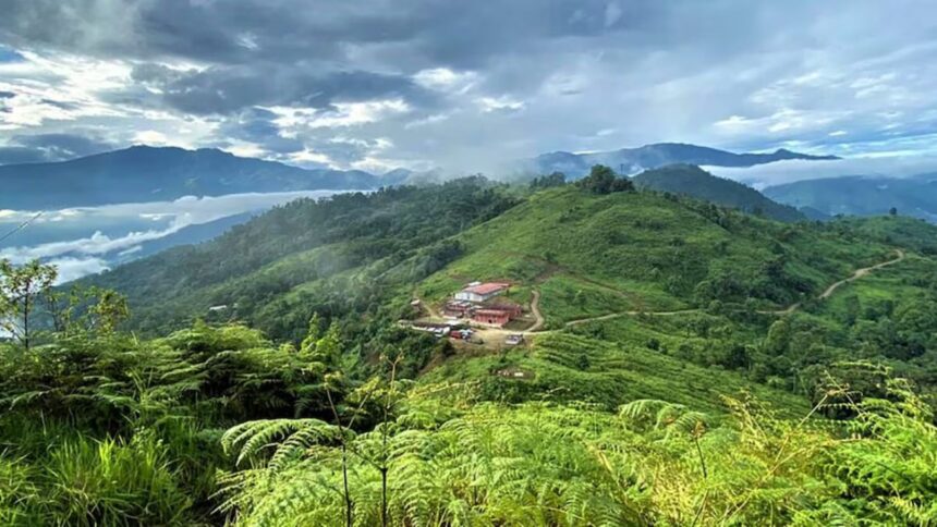 Aprobación de diseños para infraestructura eléctrica del proyecto Cangrejos de oro y cobre