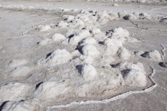 Descubren salmuera de litio de 225 metros en proyecto de Argentina Lithium