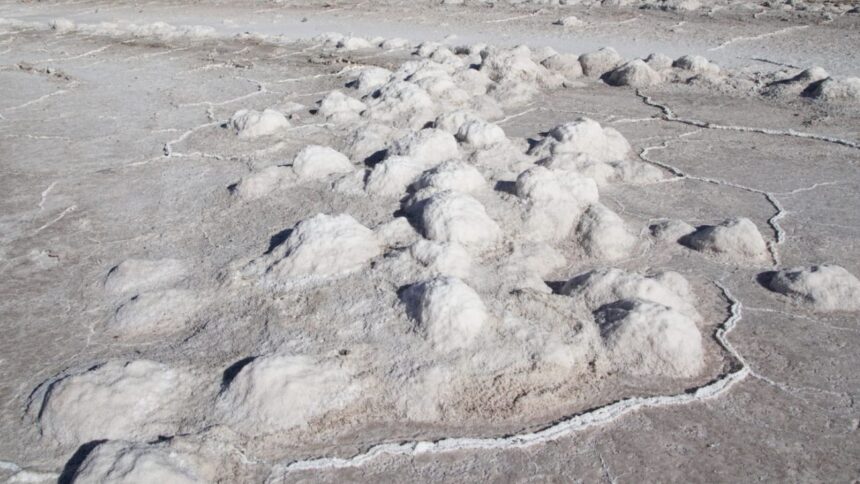 Descubren salmuera de litio de 225 metros en proyecto de Argentina Lithium