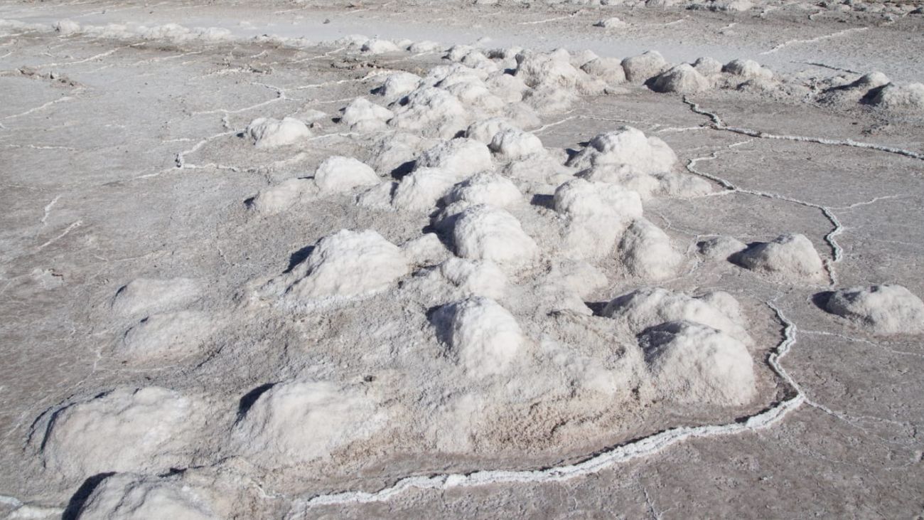 Descubren salmuera de litio de 225 metros en proyecto de Argentina Lithium Descubren salmuera de litio de 225 metros en proyecto de Argentina Lithium