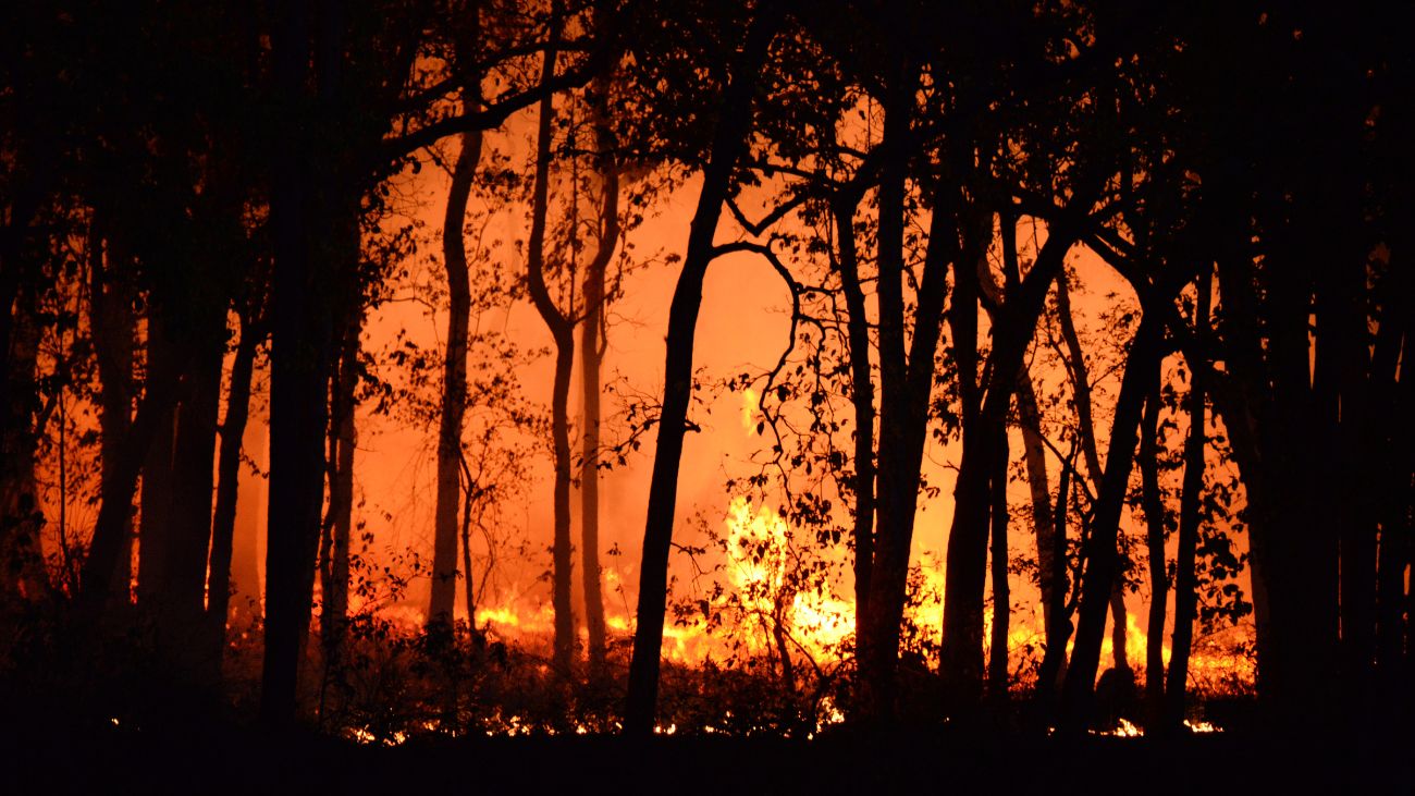 Falencias en Gestión del Senapred para Enfrentar Incendios Forestales: Informe CGR Falencias en Gestión del Senapred para Enfrentar Incendios Forestales: Informe CGR