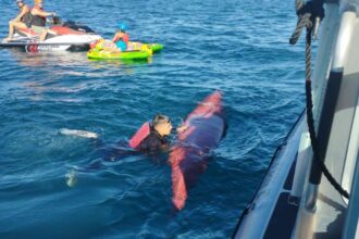 Encuentran kayak en búsqueda de joven desaparecida en Lago Villarrica
