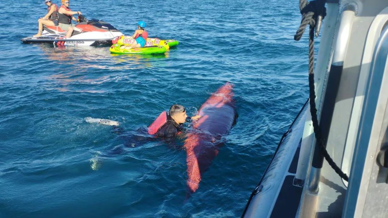 Encuentran kayak en búsqueda de joven desaparecida en Lago Villarrica Encuentran kayak en búsqueda de joven desaparecida en Lago Villarrica