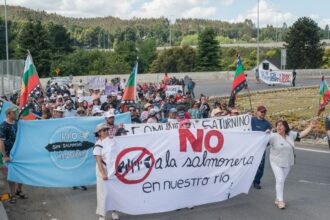 Polémica por aprobación de piscicultura en río San Pedro en Los Lagos