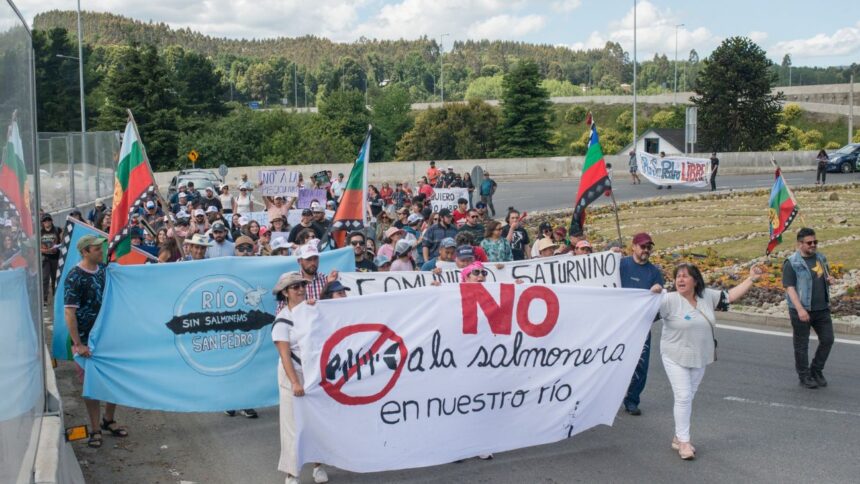 Polémica por aprobación de piscicultura en río San Pedro en Los Lagos