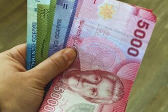 Bono al Trabajo de la Mujer en Chile: flexibilidad laboral incentivada