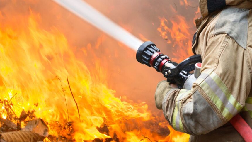 Alerta Roja por incendio forestal en Purén: Recomendaciones ante humo