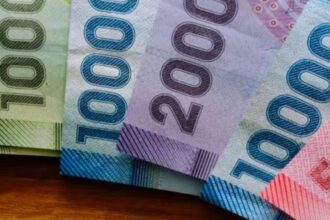 Aumento del Bono de Protección: Beneficios para mujeres vulnerables en Chile