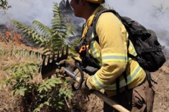 Alerta Roja en Catemu por incendio forestal: comuna evacuada por emergencia