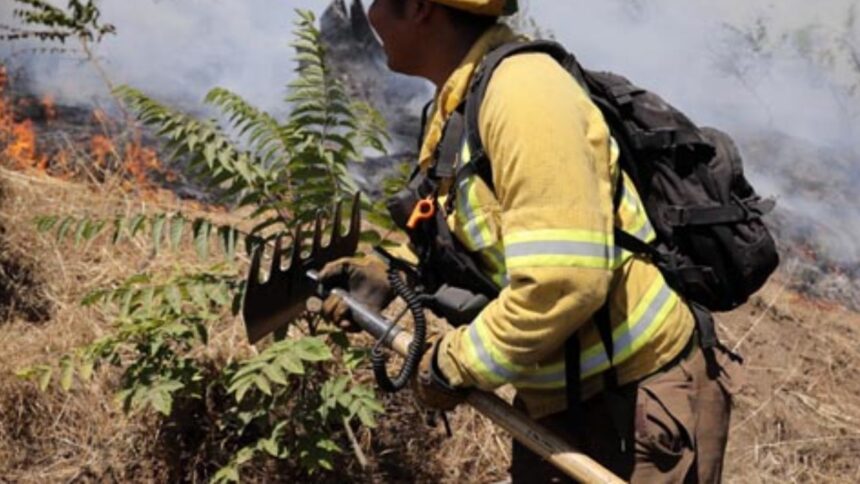 Alerta Roja en Catemu por incendio forestal: comuna evacuada por emergencia