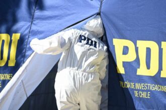 Aranceles de Trump: impacto en economía chilena y TLC en riesgo