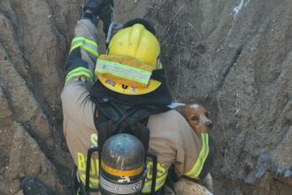 Bomberos de Coquimbo realizan emotivo rescate de perrita en Puerto Velero