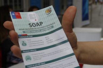 SOAP 2025 en Chile: Precios y Cobertura Actualizados