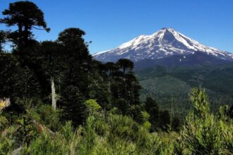 La Araucanía lidera por tercer año en protección ambiental con 6 millones