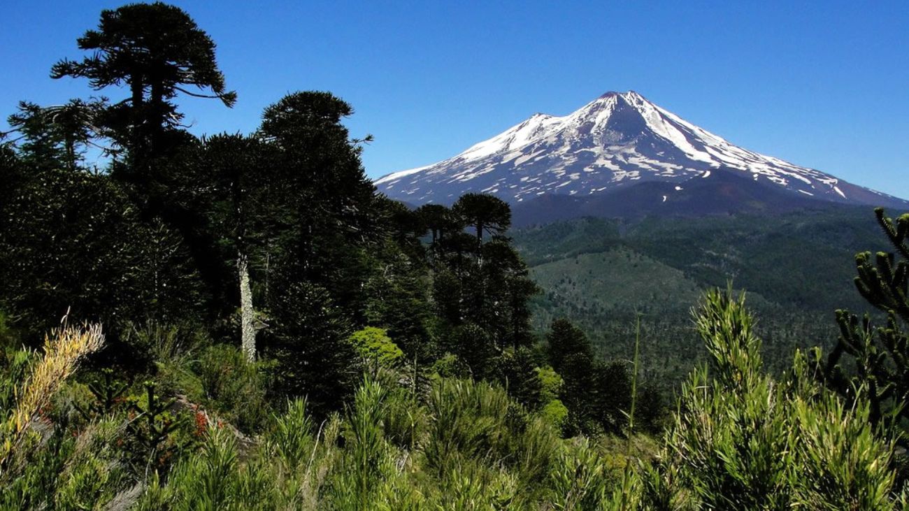 La Araucanía lidera por tercer año en protección ambiental con 6 millones La Araucanía lidera por tercer año en protección ambiental con 6 millones