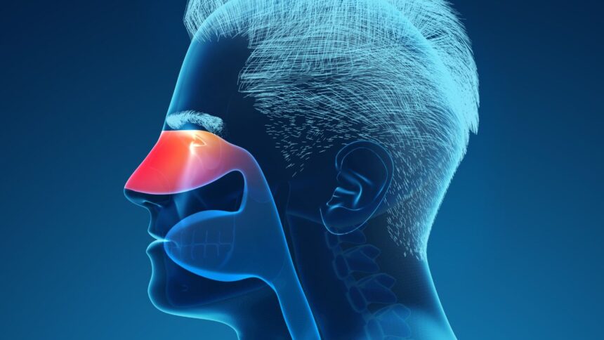 Descubre la Importancia de la Nariz Congestionada en la Salud Respiratoria