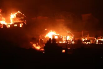 Informan negligencias en respuesta al Megaincendio de Valparaíso con 136 víctimas