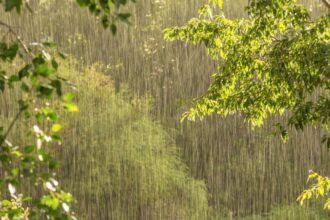 Lluvias, tormentas y vientos: pronóstico del tiempo en Chile