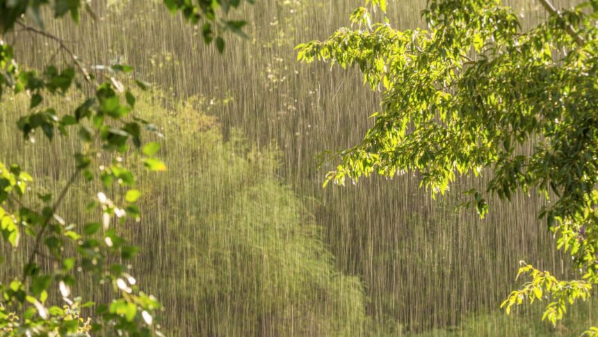 Lluvias, tormentas y vientos: pronóstico del tiempo en Chile