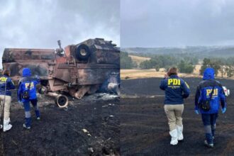 Incendio forestal en Purranque controlado: Fiscalía investiga posible responsabilidad