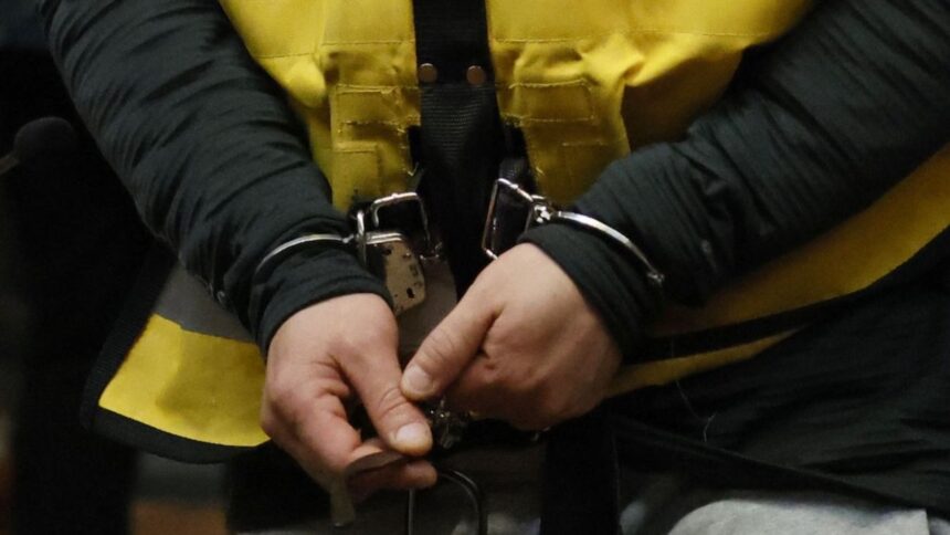 Formalización de Los Piratas de Aragua: Detenidos en el extranjero