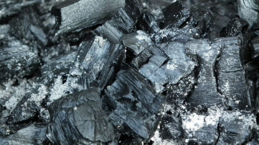 El carbón resurge en Sudáfrica: un mineral crítico para la nación