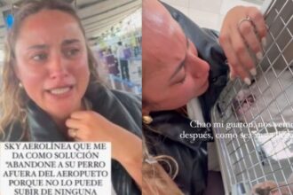 Influencer denuncia a aerolínea por prohibir viajar con su perro