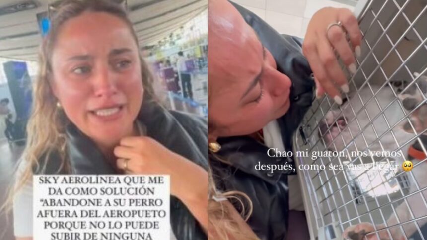 Influencer denuncia a aerolínea por prohibir viajar con su perro