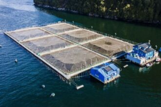 Polémica en Los Lagos por obras vinculadas a proyecto de piscicultura