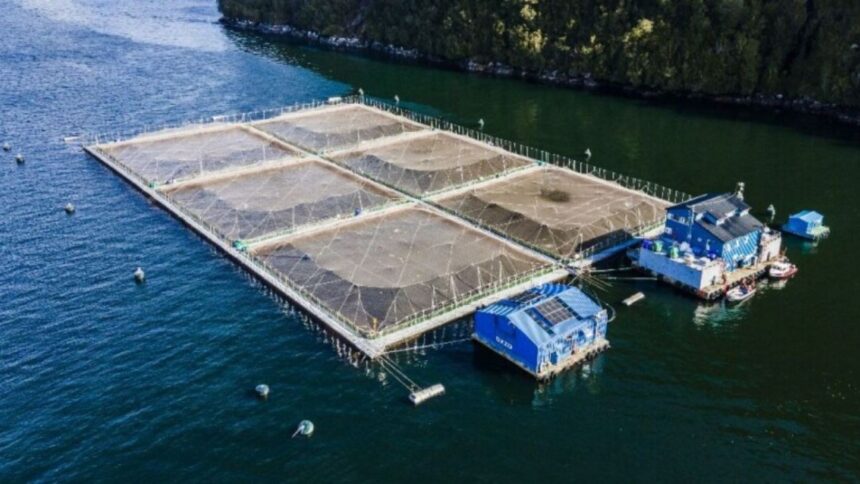 Polémica en Los Lagos por obras vinculadas a proyecto de piscicultura