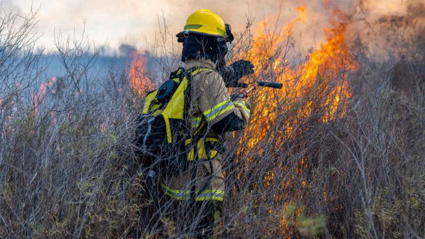 Alerta roja en Chillán por incendio forestal: brigadas y recursos desplegados