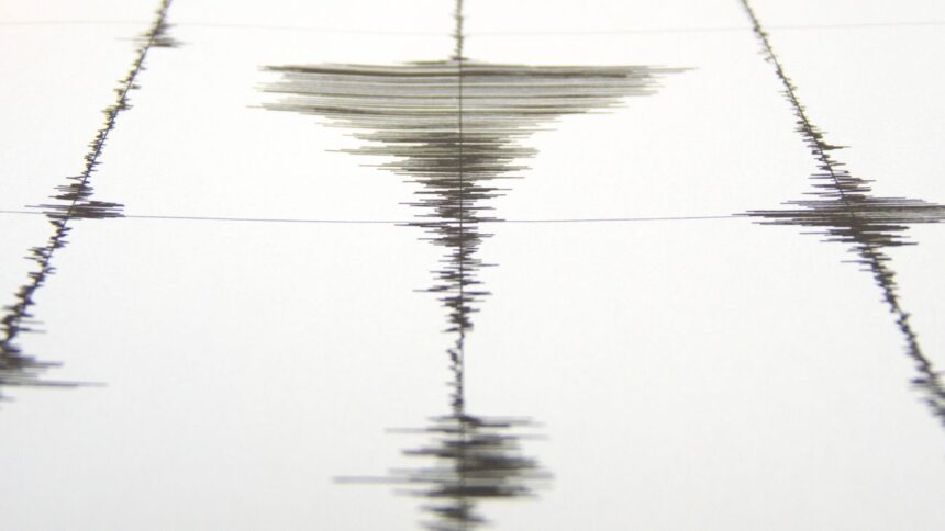 Sismo de magnitud 4,5 en O’Higgins, Chile: sin daños ni heridos