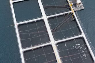 Asociación de Municipios en Los Ríos rechaza proyecto de piscicultura