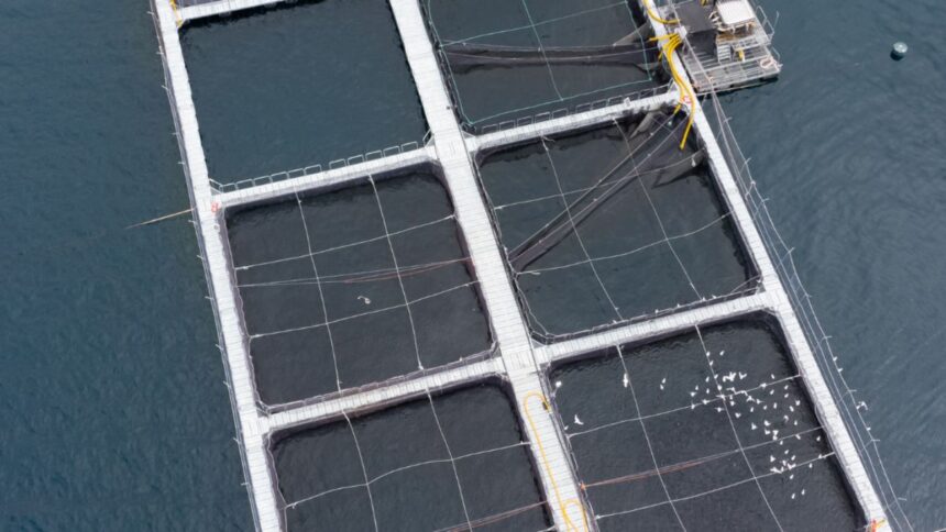 Asociación de Municipios en Los Ríos rechaza proyecto de piscicultura