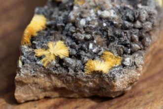 Venta de uranio: NexGen Energy en avanzadas negociaciones para vender $1.6 mil millones a empresas de servicios públicos de Estados Unidos