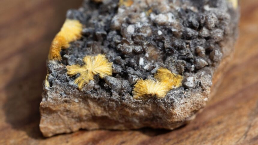 Venta de uranio: NexGen Energy en avanzadas negociaciones para vender $1.6 mil millones a empresas de servicios públicos de Estados Unidos