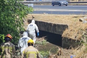 Hallazgo de cadáver en Romeral: PDI investiga misteriosa muerte