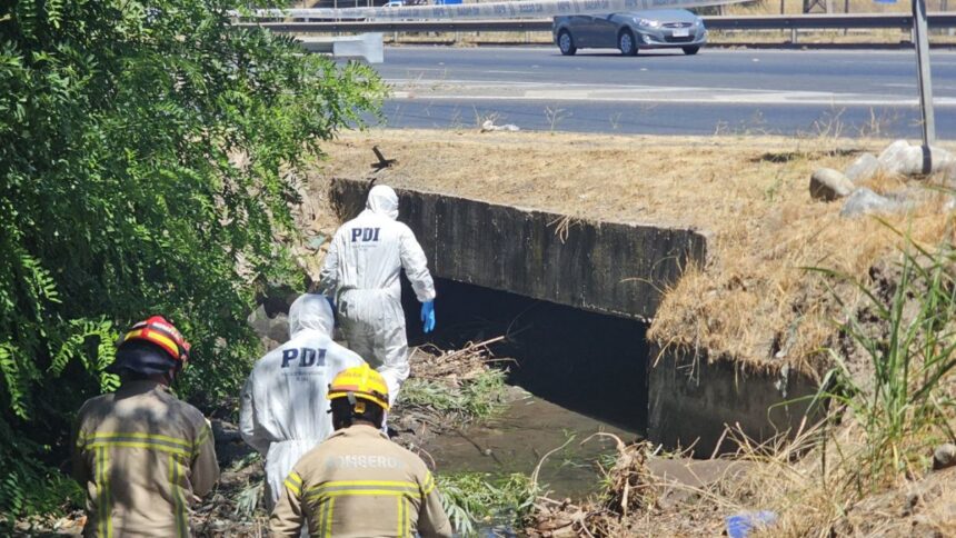 Hallazgo de cadáver en Romeral: PDI investiga misteriosa muerte