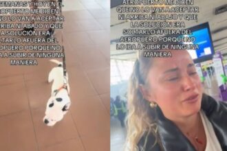 Polémica con Sky: Mascota no Pudo Viajar a Nuevo Hogar