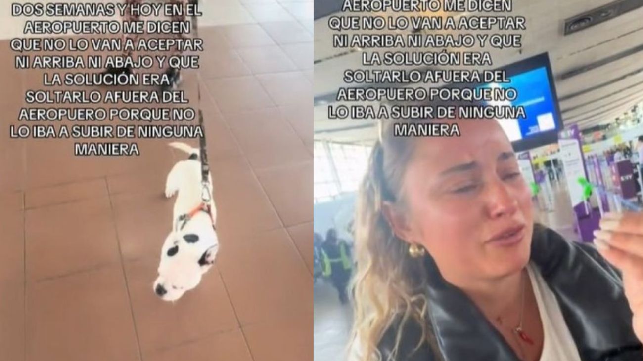 Polémica con Sky: Mascota no Pudo Viajar a Nuevo Hogar Polémica con Sky: Mascota no Pudo Viajar a Nuevo Hogar