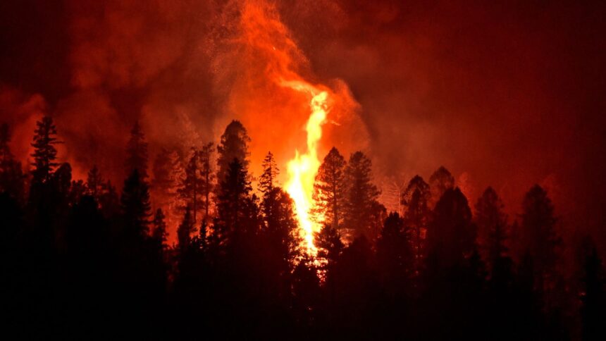 Incendios forestales: medidas preventivas ante altas temperaturas y cierre de parques