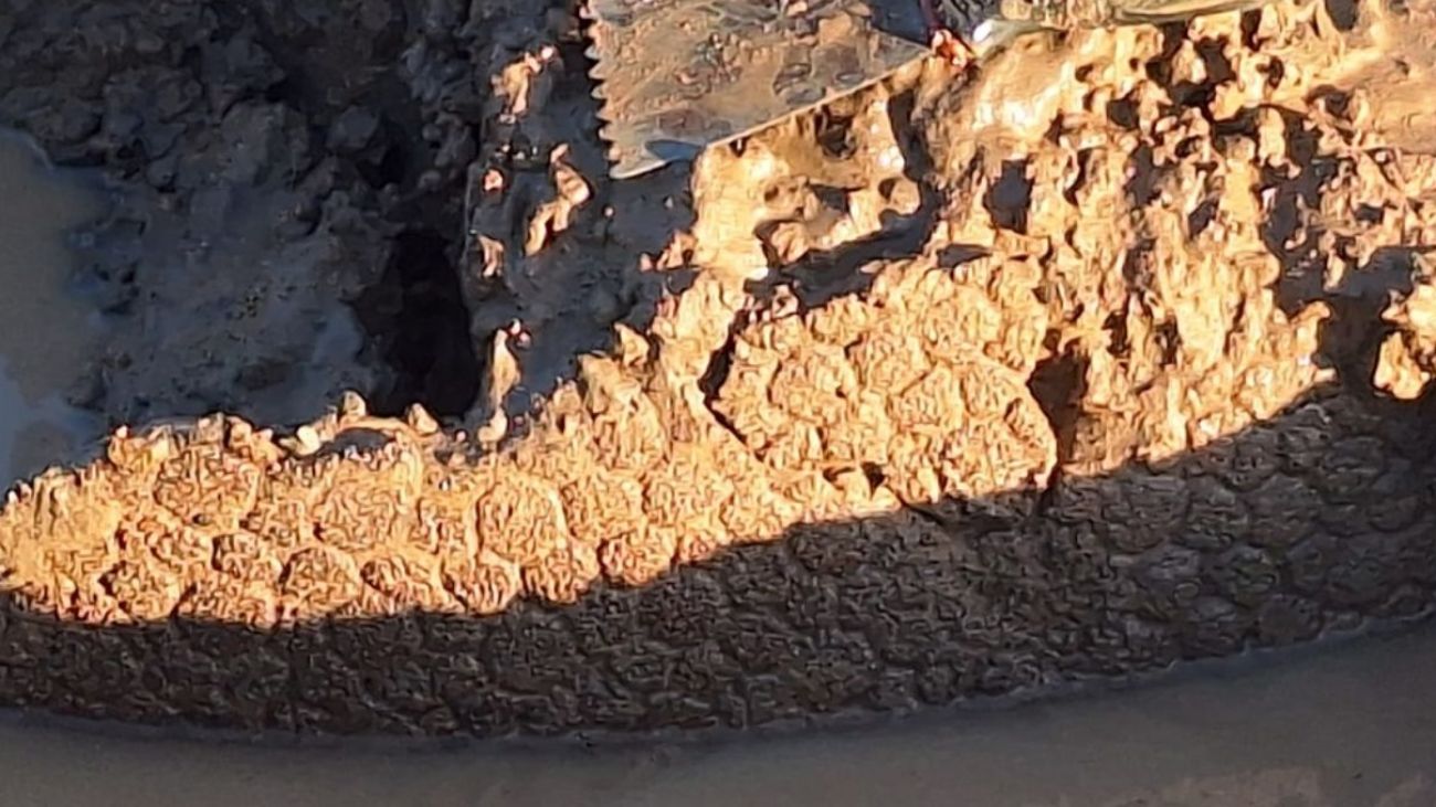 Sensacional hallazgo de caparazón de Gliptodonte en Río Ctalamochita Sensacional hallazgo de caparazón de Gliptodonte en Río Ctalamochita