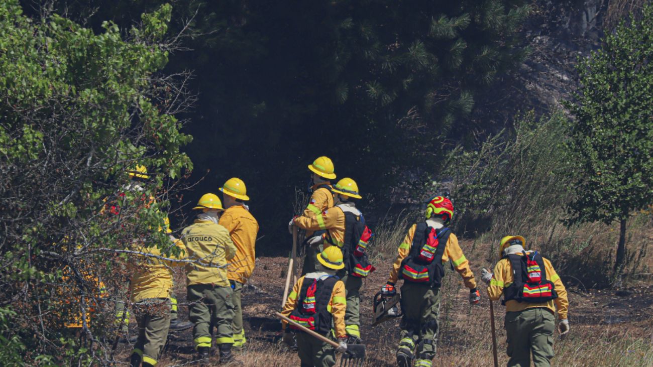 Incendio forestal en Liucura: trabajo en conjunto para combatirlo Incendio forestal en Liucura: trabajo en conjunto para combatirlo