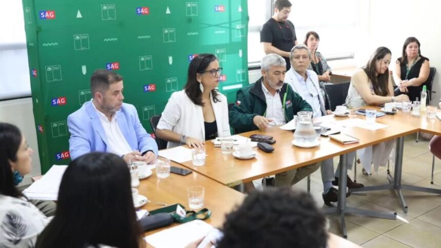 Reunión urgente en Chile por riesgo de influenza aviar H5N1