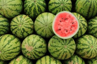 Disponibilidad de alimentos de temporada a precios convenientes en Chile