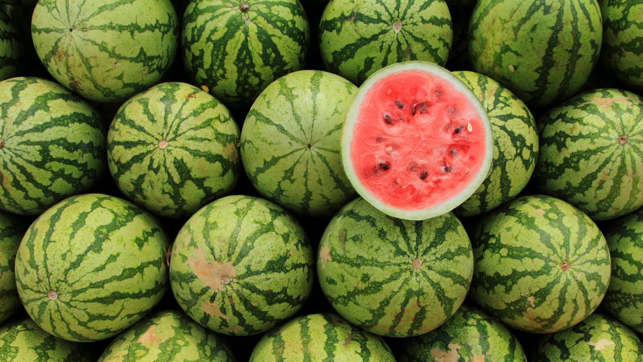 Disponibilidad de alimentos de temporada a precios convenientes en Chile Disponibilidad de alimentos de temporada a precios convenientes en Chile