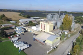 Intento de robo en empresa Molino Bío Bío y propuestas de solución