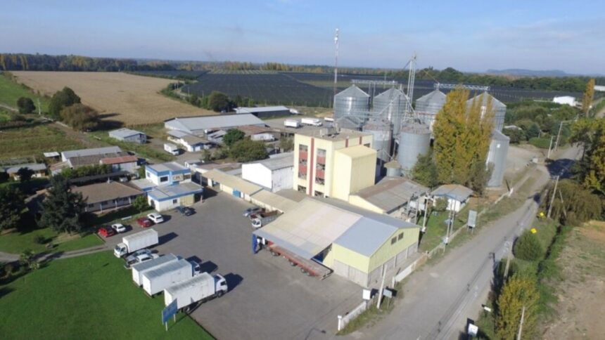 Intento de robo en empresa Molino Bío Bío y propuestas de solución