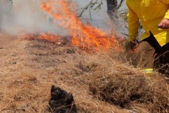 Toque de queda por incendios forestales en La Araucanía: comunas y horario