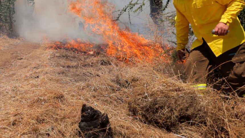 Toque de queda por incendios forestales en La Araucanía: comunas y horario